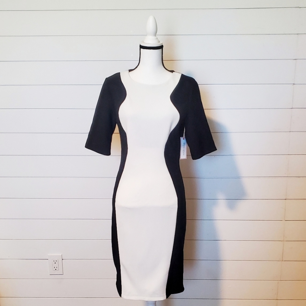 Bisou Bisou Long Sleeve Black & White Dress